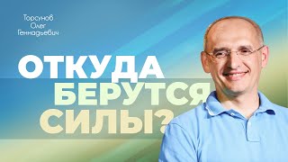 Психическая структура человека (Торсунов О. Г.)