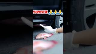Fish Vs Car Crushing