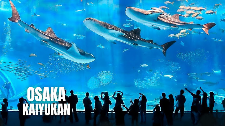 Osaka Aquarium Kaiyukan Walking Tour (2023) (4K HDR)