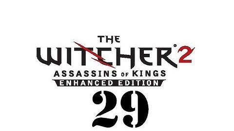 The Witcher 2: Assassins of Kings Enhanced Edition Walkthrough (Part 29) HD