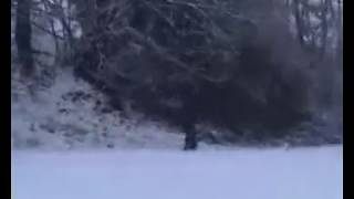 Bigfoot Sighting in luxembourg(europe)