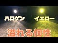 黄色とハロゲン色のLEDって実際どうなん？fcl.さんの新色LEDをスティングレーに取り付けてみた