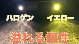 黄色とハロゲン色のLEDって実際どうなん？fcl.さんの新色LEDをスティングレーに取り付けてみた