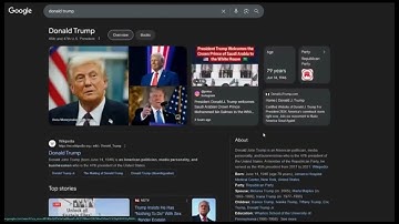 Google Knowledge Panel Type Simulation – How It Could Appear