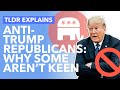 Anti Trump Republicans & The Lincoln Project: Why Some Don't Want Trump - TLDR News