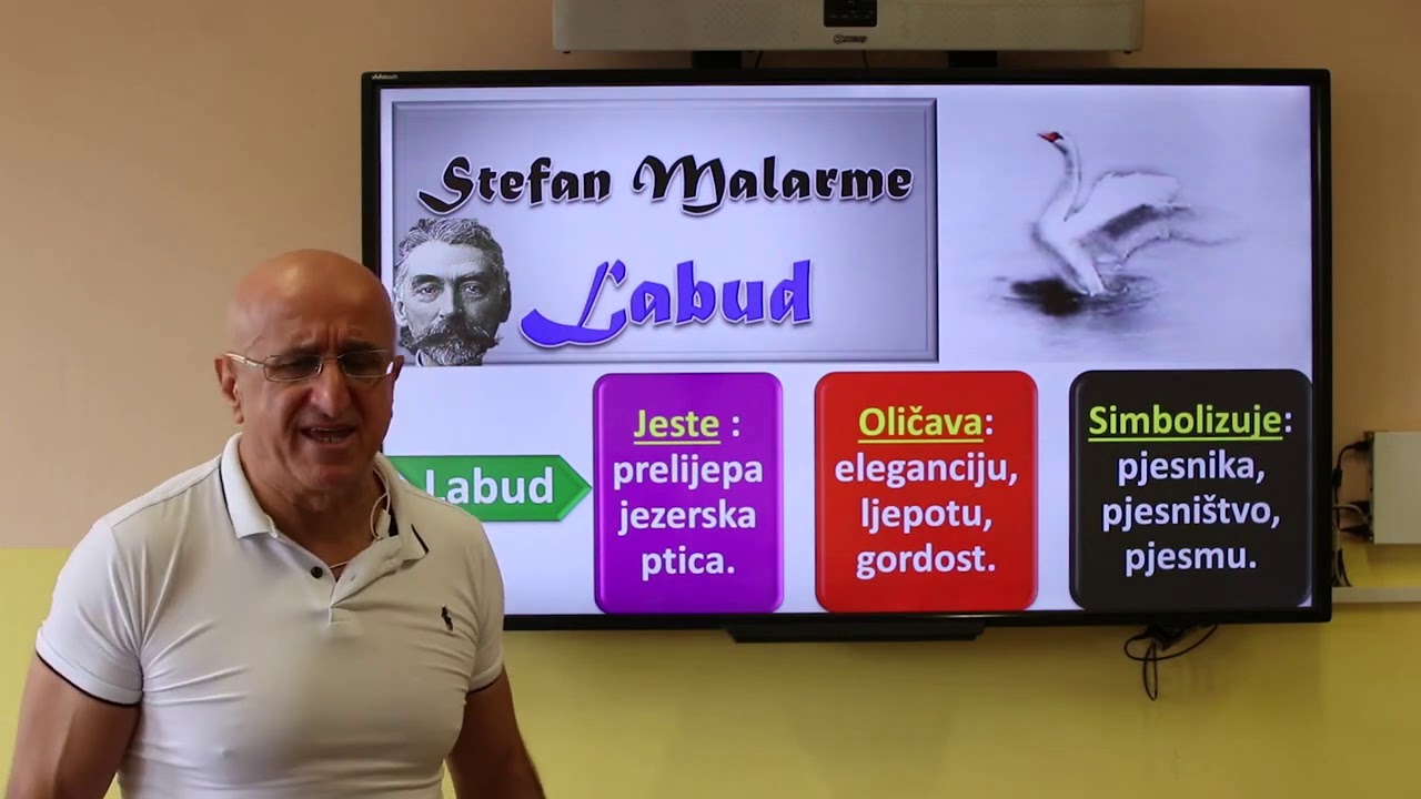 Crnogorski, srpski, bosanski, hrvatski jezik i književnost -Stefan Malarme ''Labud''