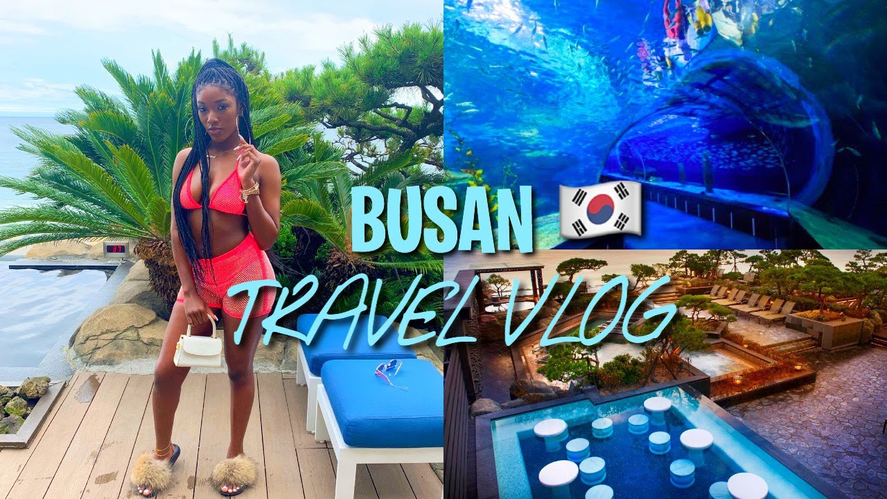 busan travel vlog