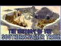 The History Of The Southern Water Tribe (Avatar)