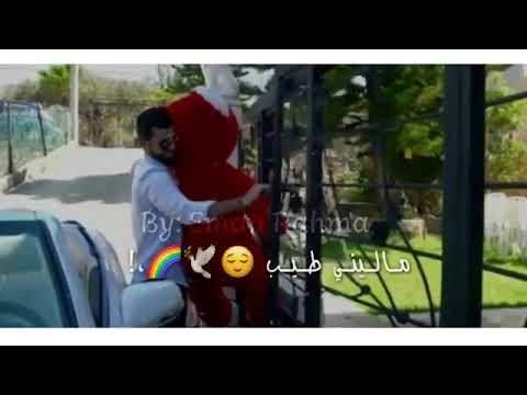حبني بجنون يمك أهون سيف نبيل