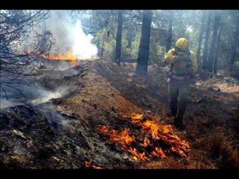 MEDIO AMBIENTE