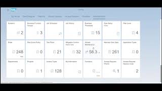 SAP Cloud IAG - Access Analysis Reports
