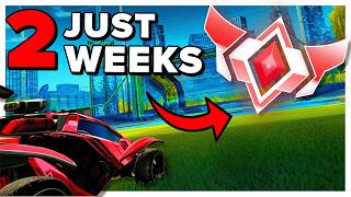 I got GRAND CHAMP in just 14 days...