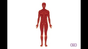 Listening and Learning Unit 3  Building Blocks and Systems