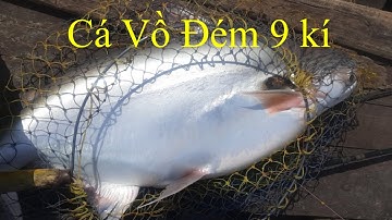 Câu cá Vồ Đém làng bè Bình Thạnh dính em 9kí | fishing  | Săn Bắt Mái Dầm