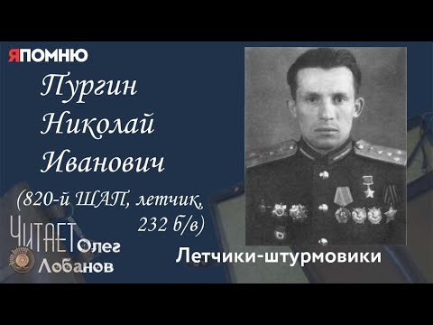 Пургин Николай Иванович. Проект "Я помню" Артема Драбкина. Летчики-штурмовики.