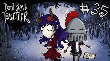 CANARY FEATHERS 101 | Don