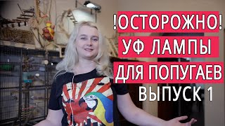 УФ ЛАМПЫ ДЛЯ ПОПУГАЕВ Часть 1