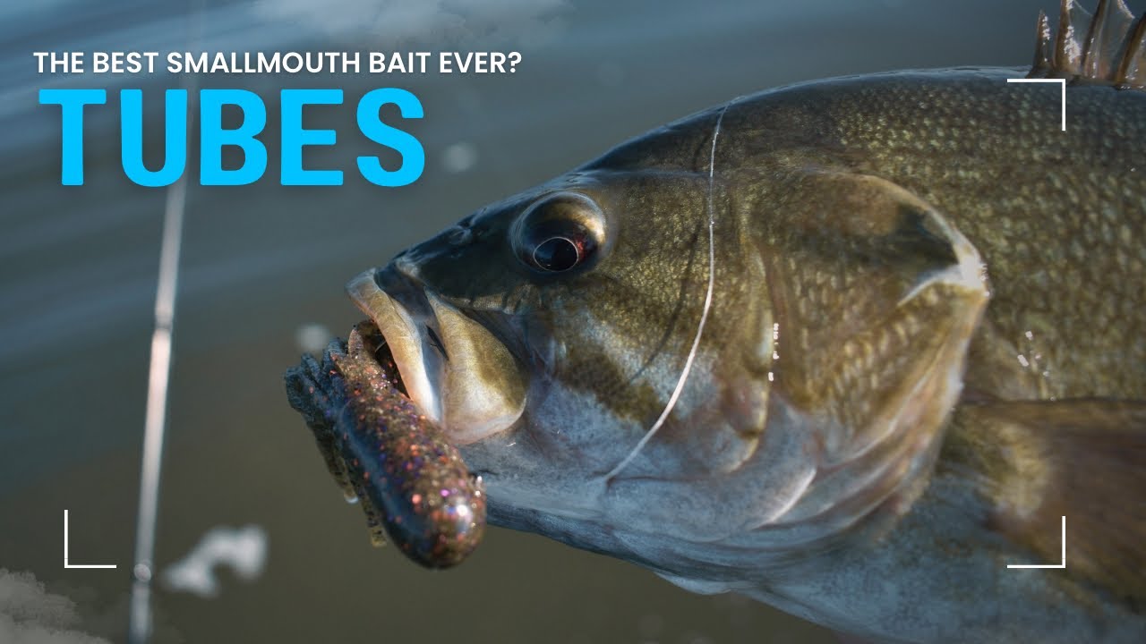 The BEST Smallmouth Bass Bait? | Fall Smallmouth Fishing