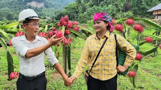 A Single Mom's DAY IN THE LIFE with Puppies and Dragon Fruit!
