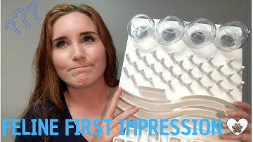 FELINE FIRST IMPRESSION! | Trixie 5-in-1 Activity Center | CATS!