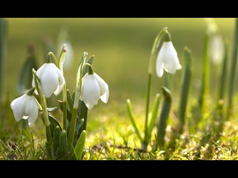 Ежедневное гадание 28
