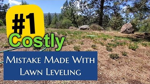 The Secret Nobody Tells You About Lawn Leveling Rakes