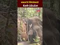 Arjuna Elephant Last Video | ಅರ್ಜುನನ ಸಾವಿಗೂ ಮುನ್ನ ಕೊನೇ ವಿಡಿಯೋ | N18S