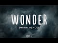 Shawn Mendes - Wonder (Lyrics/Letra)