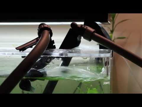 Hagen's Fluval G3: Tubing & Electronic Setup