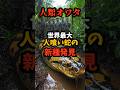 2024年発見!!新たな巨大ヘビの脅威#shorts