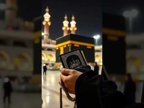 beautiful naat Sharif ❤️❤️❤️ by Allah ka banda #786