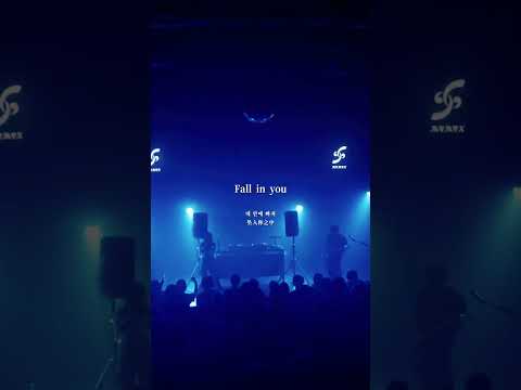 【100日間毎日投稿】81日目 Fall in Me / memex #ライブ映像