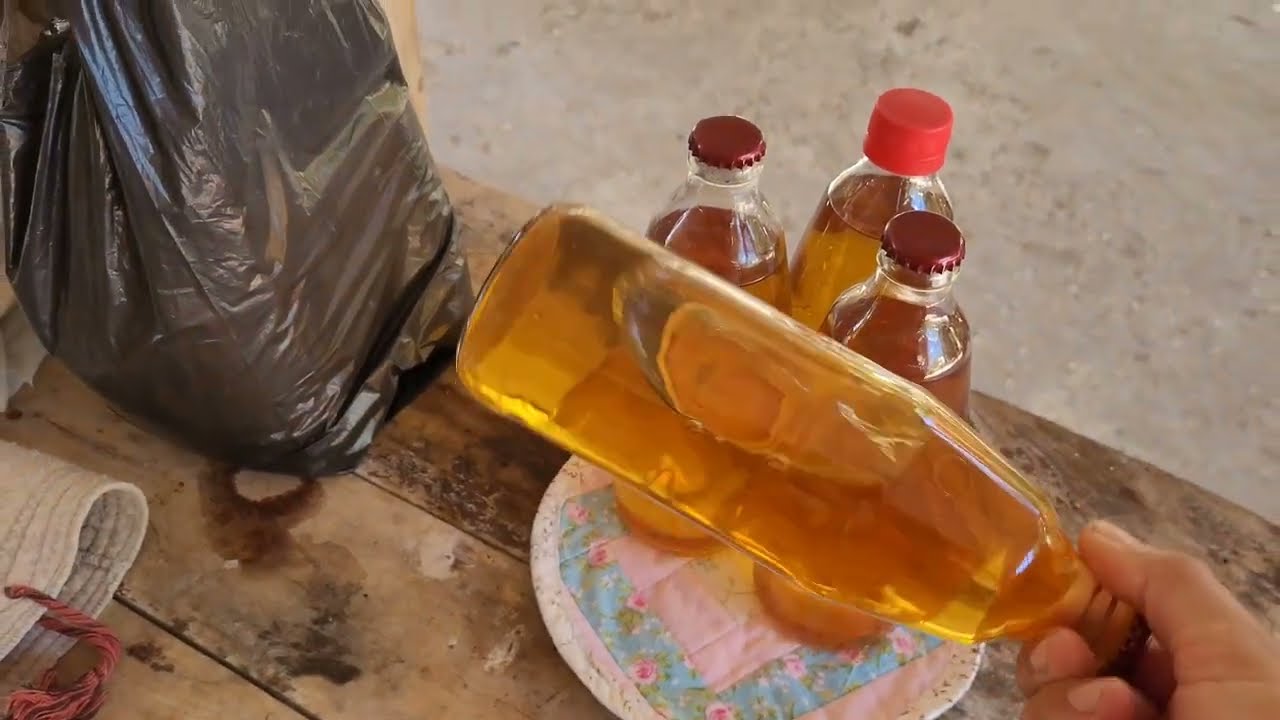 como fazer cajuina artesanal em casa tudo que você precisa para começar a produzir cajuina em 2024