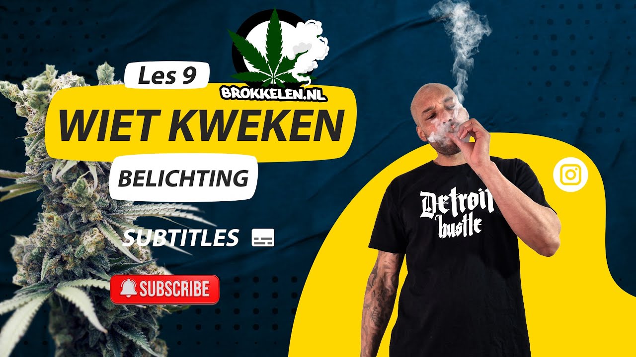 Wietplanten belichten. Indoor Kweken Voor Beginners (Subs)