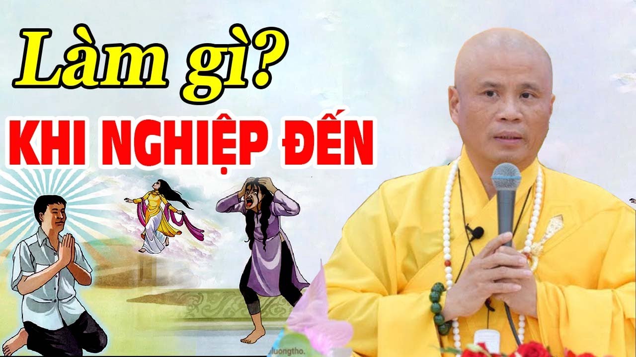 Khi ÁC NGHIỆP đến, phải làm gì? - Thầy Thích Giác Nhàn