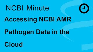 NCBI Minute: Accessing NCBI AMR Pathogen Data in the Cloud