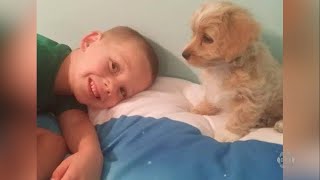 A 12-year-old Mount Pleasant boy has made it his mission to rescue animals