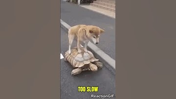 Keyboard Warriors IRL 💀 #shorts #funny #gaming