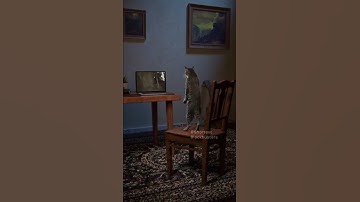Thumbnail of Horror Movie Cat Cliché