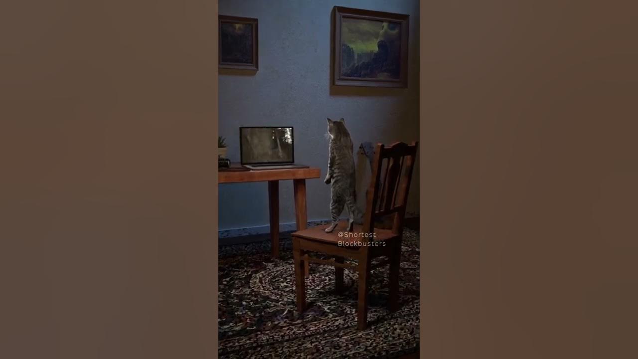 Horror Movie Cat Cliché Horror Movie Cat Cliché
