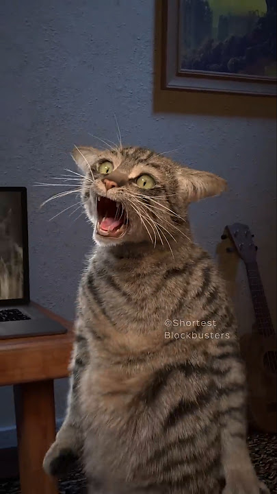 Horror Movie Cat Cliché