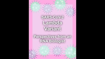 SARS-CoV-2 Lambda Variant Explained