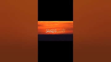 القرآن الكريم سورة التوبة الآيه 40