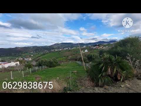 قطعة ارضية مساحتها 1000 فيها رخصة البناء وصل الماء والضاو لتواصل معي 0629838675