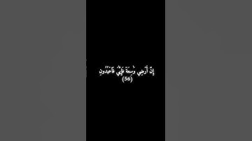 سورة العنكبوت 56 - 57 - علي جابر .