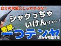 初めて一つテンヤで真鯛を釣り上げる！常識を打ち破る事で引き出しを増やす！