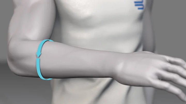 Bauerfeind Sports Elbow Strap - Sizing Guide