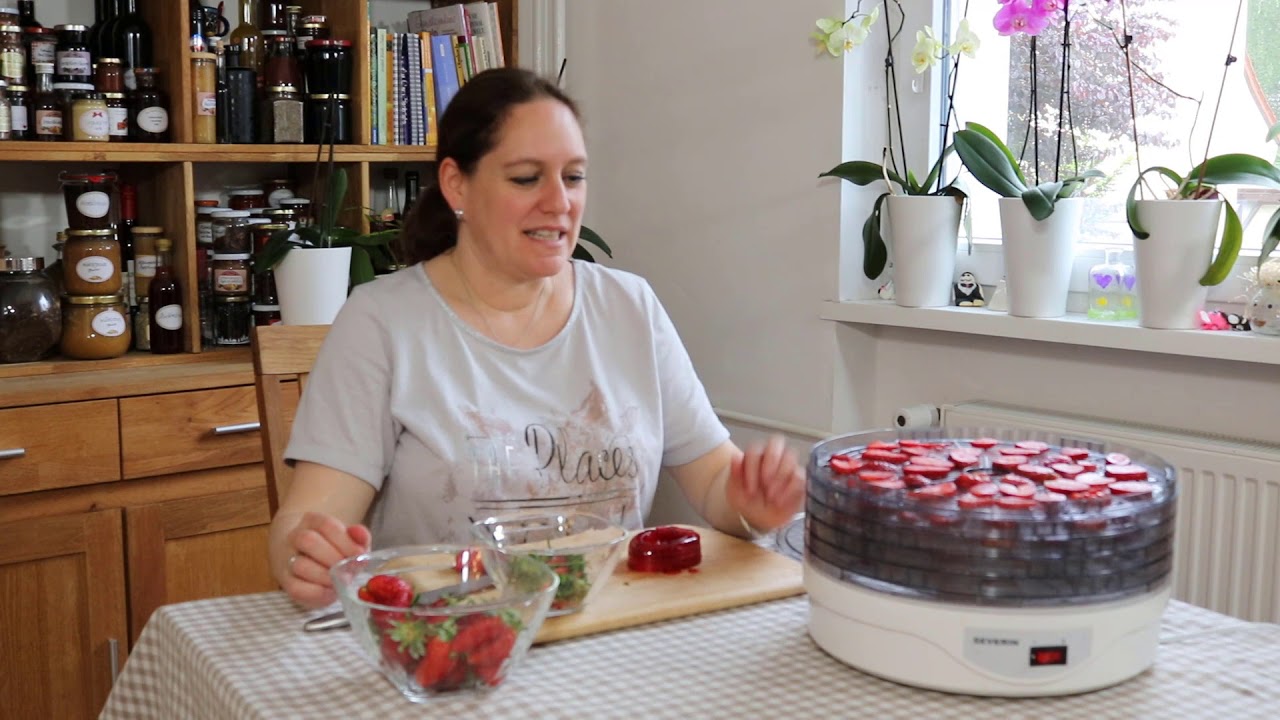 Erdbeerchips | leckerer Snack ohne Zuckerzusatz