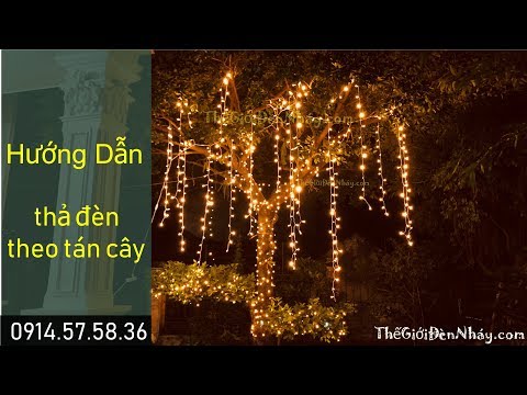 Video Hướng dẫn treo Đèn nháy thả Tán Cây ✅ Nhanh và Đẹp - youtube