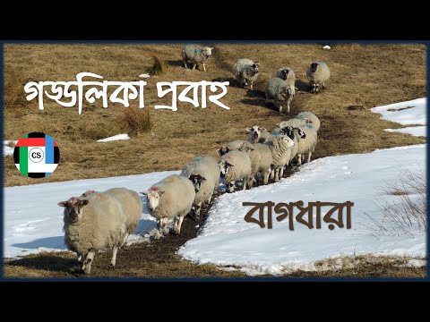 গড্ডলিকা প্রবাহ || বাংলা বাগধারা || কমিউনিটি সলিউশন স্কুল